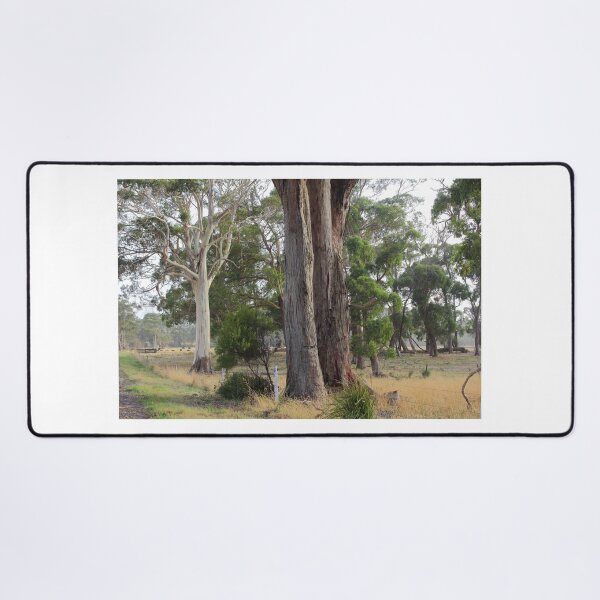 Item preview, Wiltshire White Gum #2 designed and sold by phillip wise.