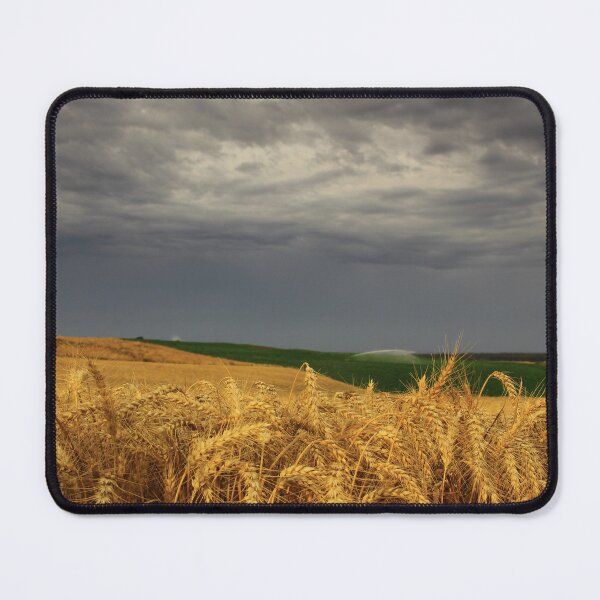 Item preview, Forest Barley Field designed and sold by phillip wise.