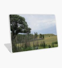 Trees and bushes Laptop Skin