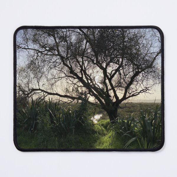 Item preview, Trees, trees and more trees designed and sold by jennyjeffries.
