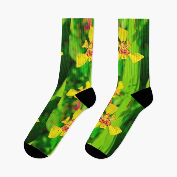 Item preview, Yellow red lily blossom on green background designed and sold by kall3bu.