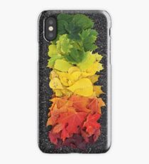 Fall Leaves iPhone Case/Skin