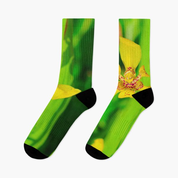 Item preview, Yellow lily blossom on green background designed and sold by kall3bu.