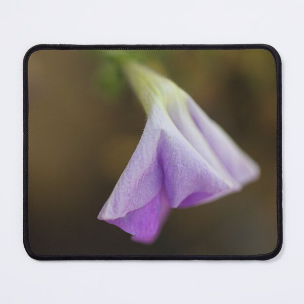 Item preview, Tender Purple Petunia designed and sold by Joy Watson - Natural Light Photography .