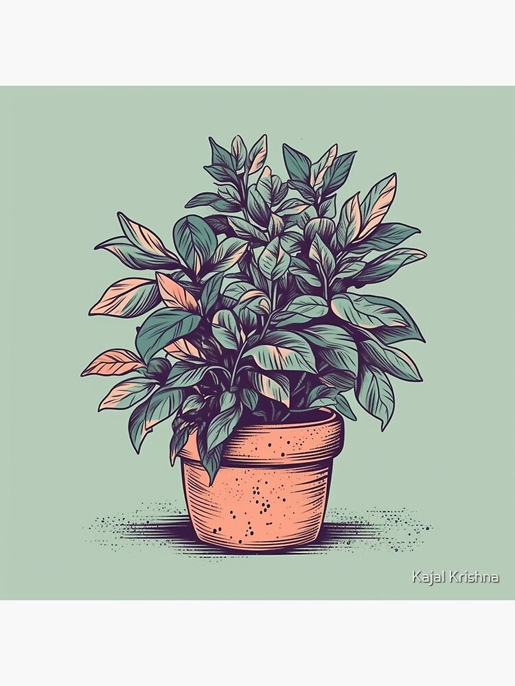 plant drawing – Cindy Mangomini