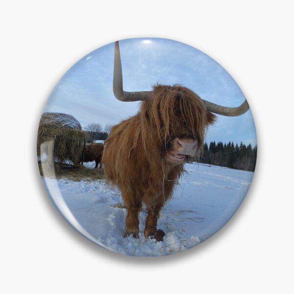 Item preview, Scottish Highland Cattle Cow 4278 designed and sold by SaarelaHighland.