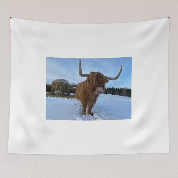 Item preview, Scottish Highland Cattle Cow 4278 designed and sold by SaarelaHighland.