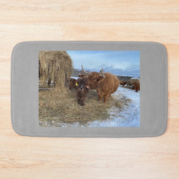 Item preview, Scottish Highland Cattle Cow and calf 4279 designed and sold by SaarelaHighland.