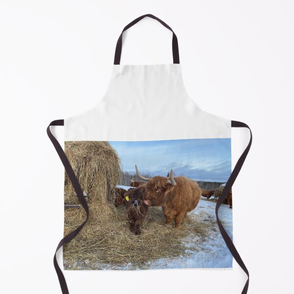 Item preview, Scottish Highland Cattle Cow and calf 4279 designed and sold by SaarelaHighland.