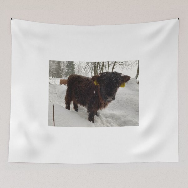 Item preview, Scottish Highland Cattle Calf 4283 designed and sold by SaarelaHighland.