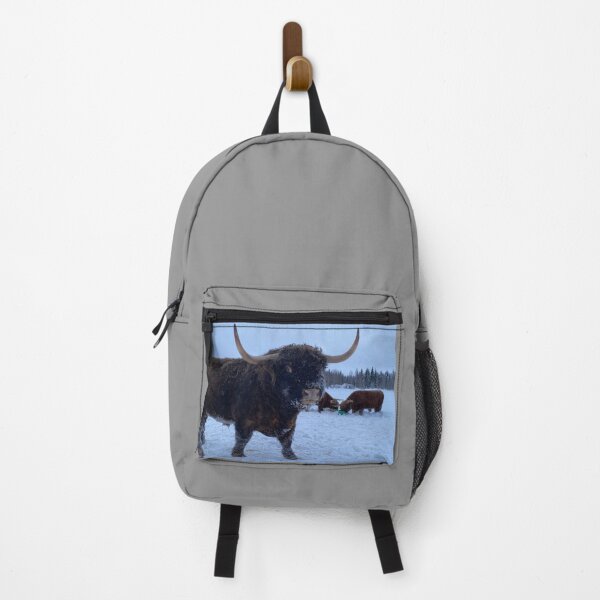 Item preview, Scottish Highland Cattle Bull 4285 designed and sold by SaarelaHighland.