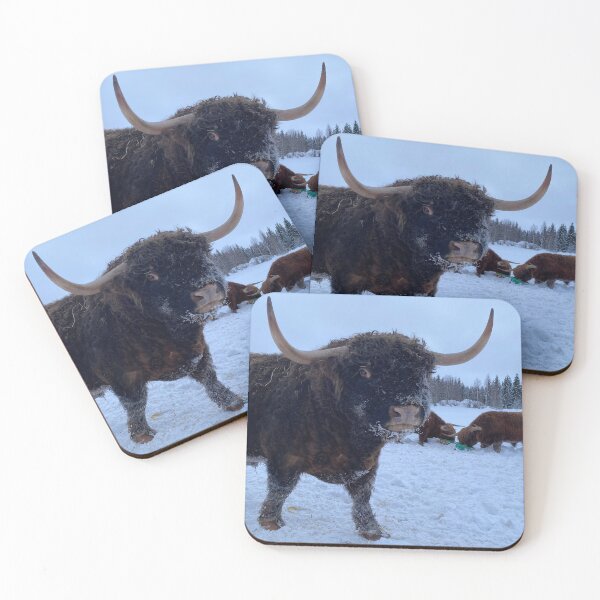 Item preview, Scottish Highland Cattle Bull 4285 designed and sold by SaarelaHighland.