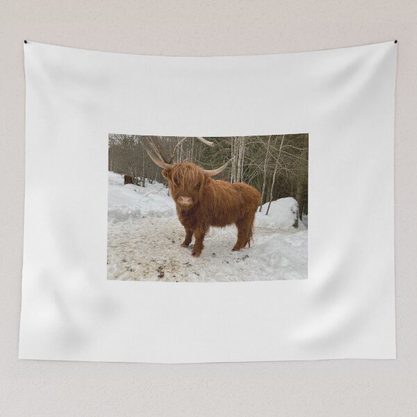 Item preview, Scottish Highland Cattle Cow 4292 designed and sold by SaarelaHighland.