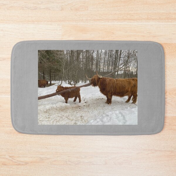 Item preview, Scottish Highland Cattle Cow and calf 4293 designed and sold by SaarelaHighland.