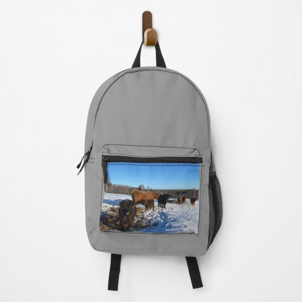 Item preview, Scottish Highland Cattle Cows and calves 4297 designed and sold by SaarelaHighland.
