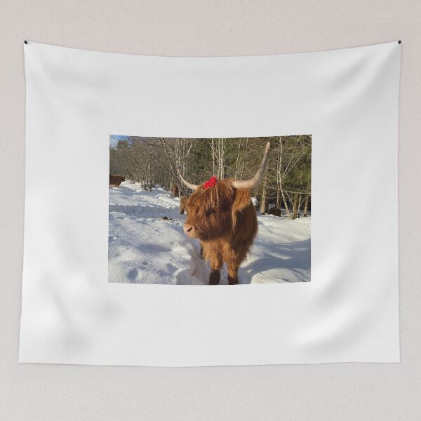 Item preview, Scottish Highland Cattle Cow 4299 designed and sold by SaarelaHighland.