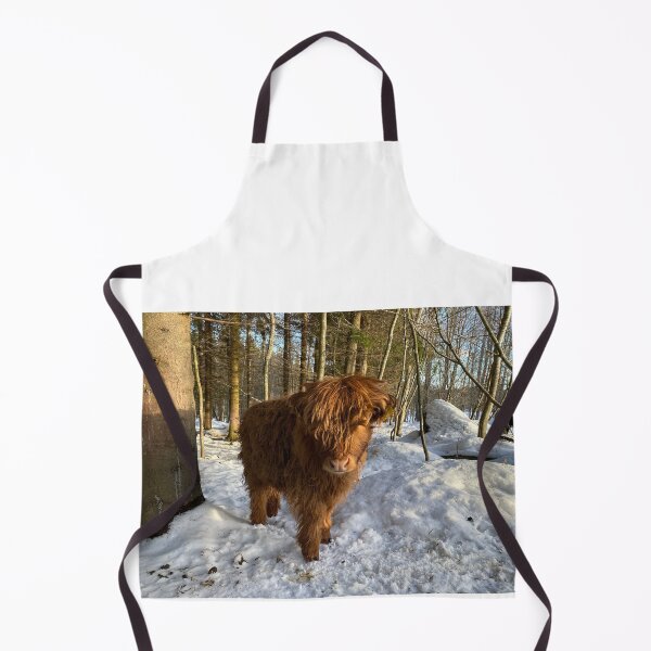 Item preview, Scottish Highland Cattle Calf 4302 designed and sold by SaarelaHighland.