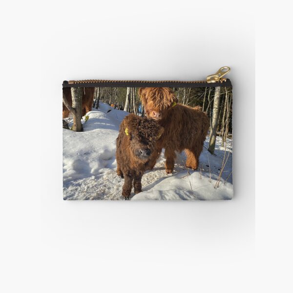 Item preview, Scottish Highland Cattle Calves 4303 designed and sold by SaarelaHighland.