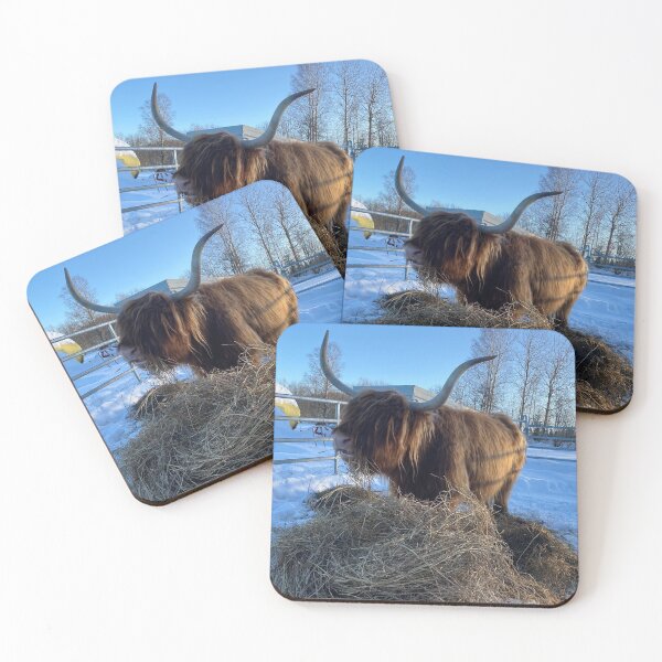 Item preview, Scottish Highland Cattle Cow 4304 designed and sold by SaarelaHighland.