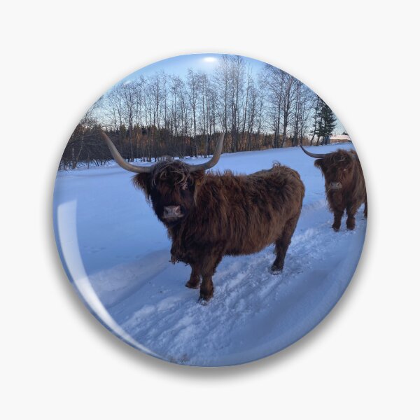 Item preview, Scottish Highland Cattle Cows 4305 designed and sold by SaarelaHighland.