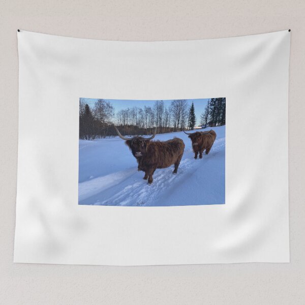 Item preview, Scottish Highland Cattle Cows 4305 designed and sold by SaarelaHighland.
