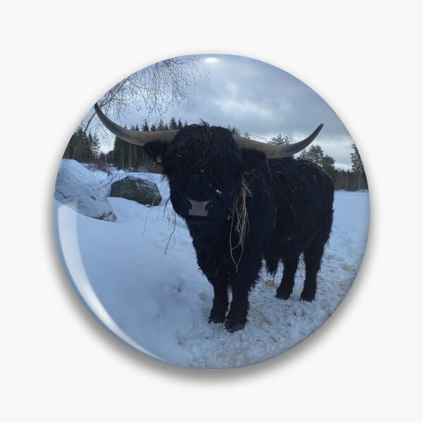 Item preview, Scottish Highland Cattle Bull 4307 designed and sold by SaarelaHighland.