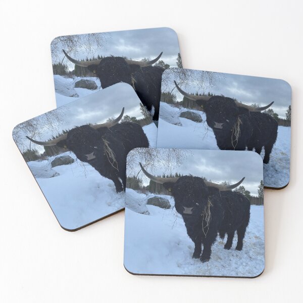 Item preview, Scottish Highland Cattle Bull 4307 designed and sold by SaarelaHighland.