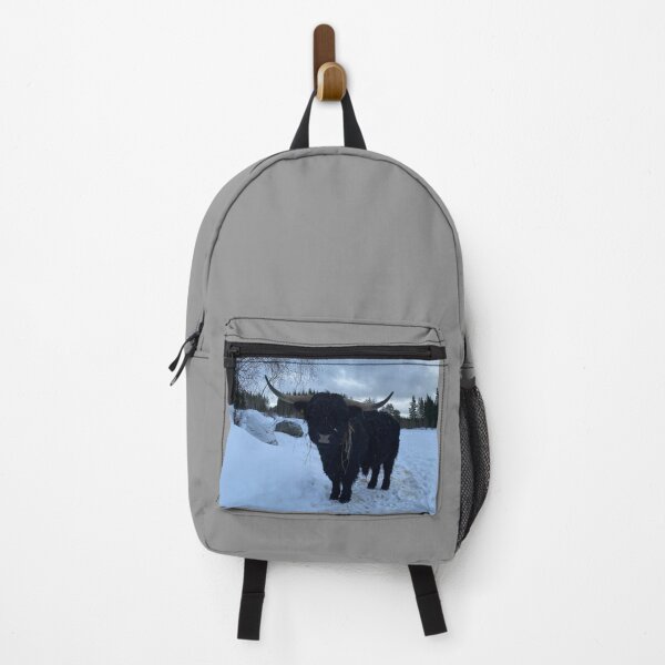 Item preview, Scottish Highland Cattle Bull 4307 designed and sold by SaarelaHighland.