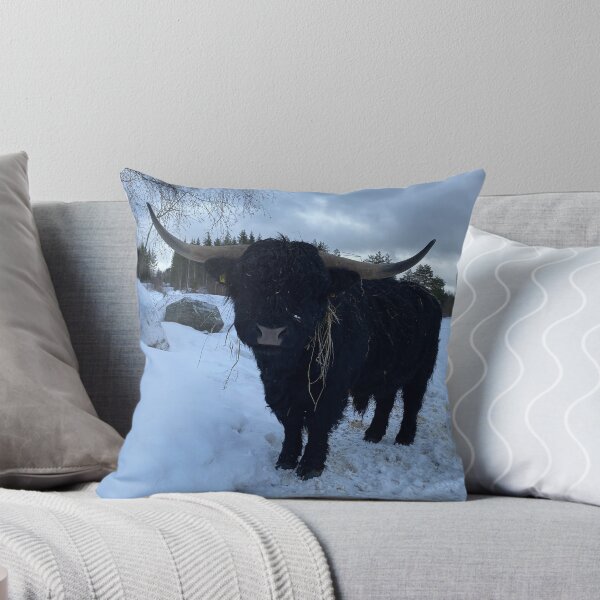 Item preview, Scottish Highland Cattle Bull 4307 designed and sold by SaarelaHighland.