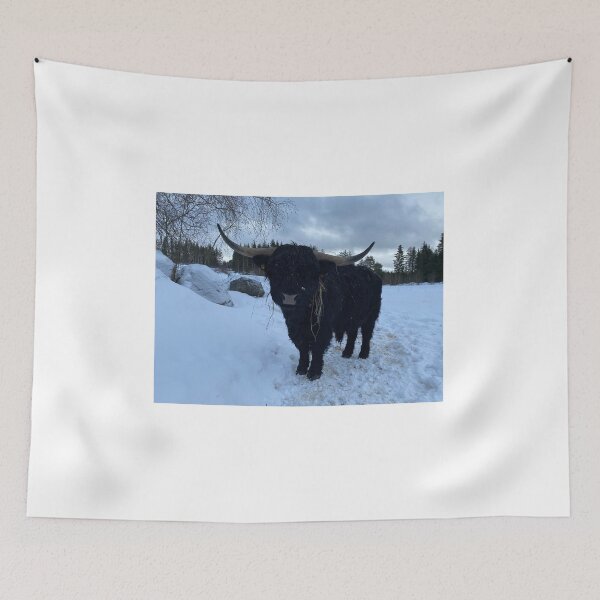Item preview, Scottish Highland Cattle Bull 4307 designed and sold by SaarelaHighland.