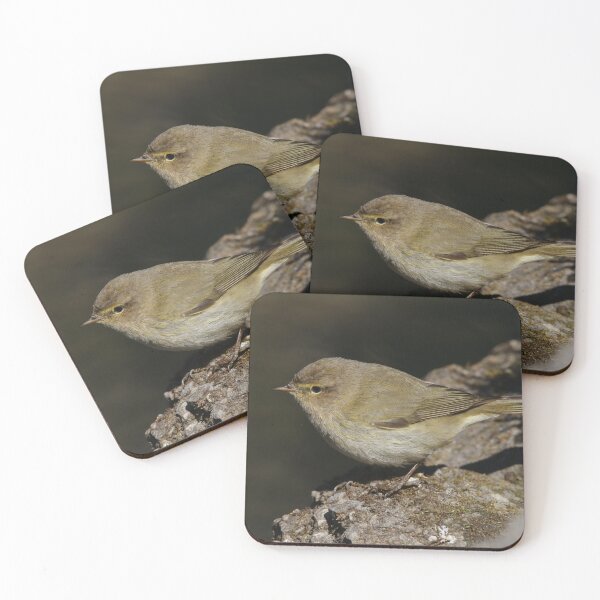 Item preview, Phylloscopus collybita designed and sold by Mythos57.