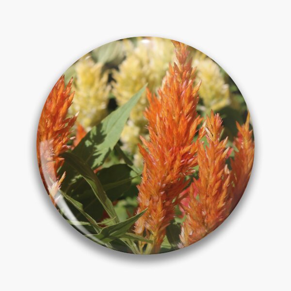 Item preview, A group of bright Prince of Wales feathers designed and sold by kall3bu.