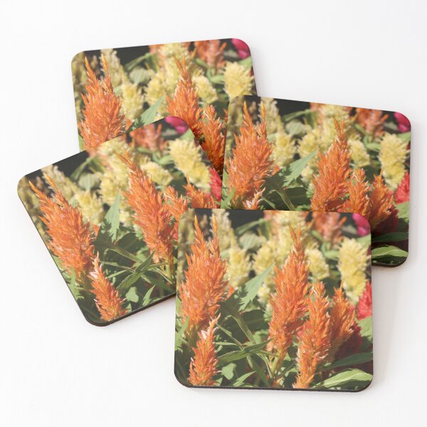 Item preview, A group of bright Prince of Wales feathers designed and sold by kall3bu.
