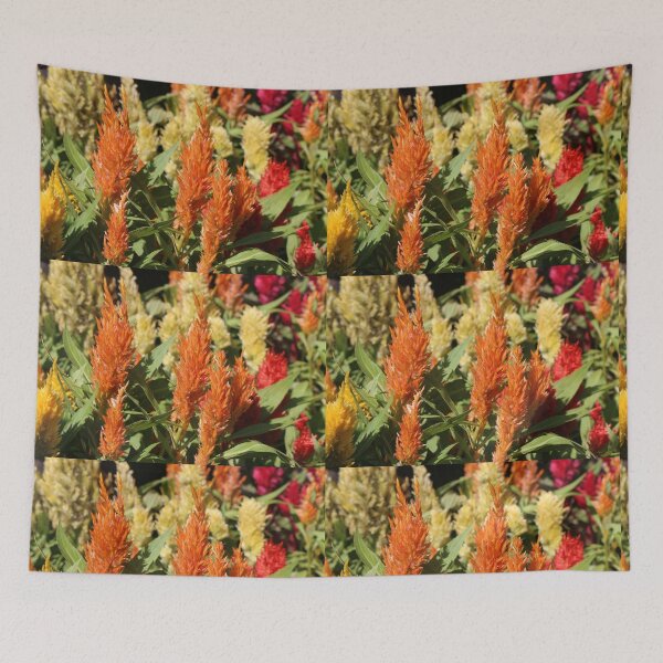 Item preview, A group of bright Prince of Wales feathers designed and sold by kall3bu.