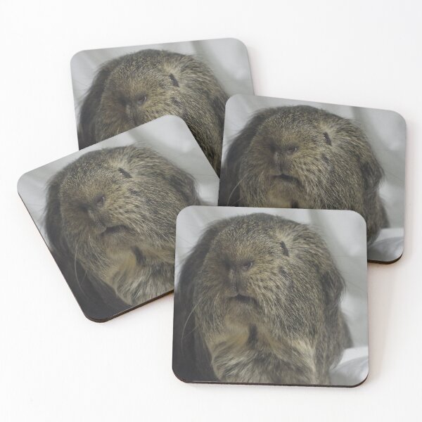 Item preview, Diestro designed and sold by Bethany Edgington.