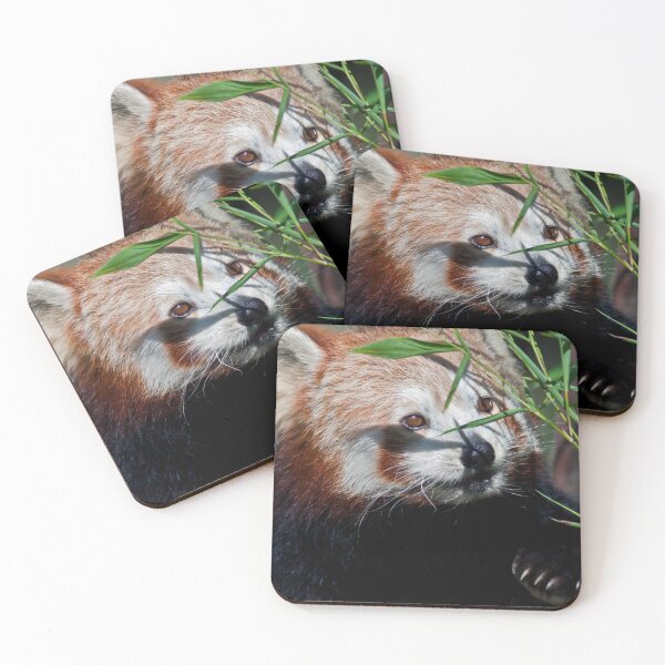 Item preview, Lunching Panda designed and sold by Krys Bailey.