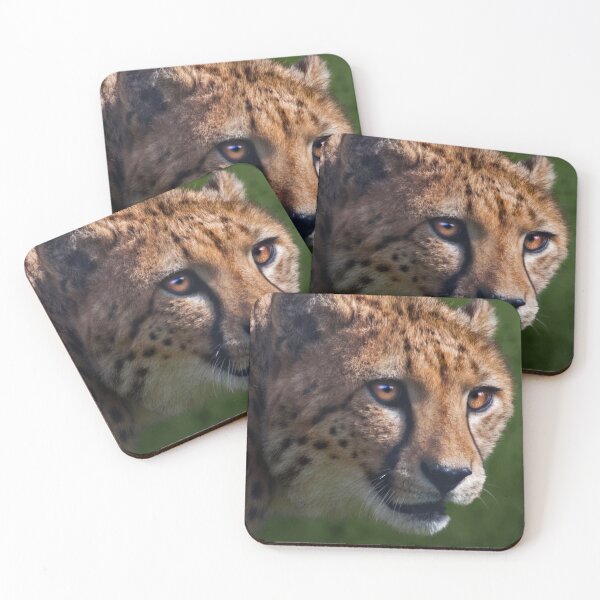 Item preview, Cheetah Stare designed and sold by Krys Bailey.