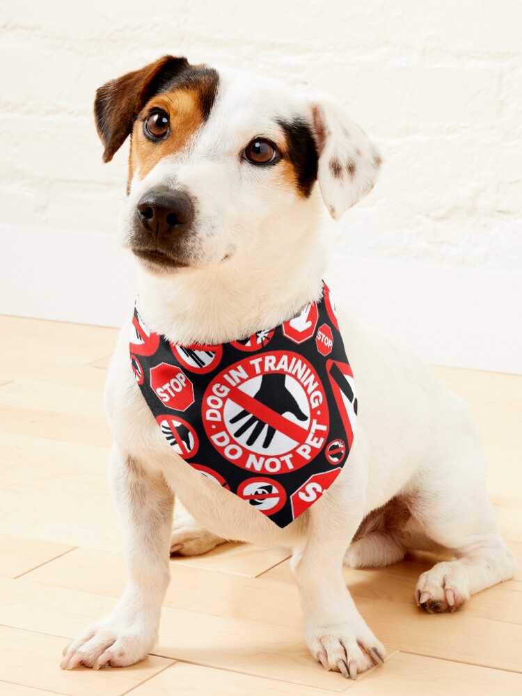 Dog in training bandana best sale