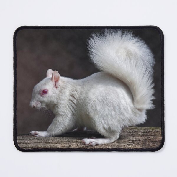 Item preview, Snowy designed and sold by Krys Bailey.