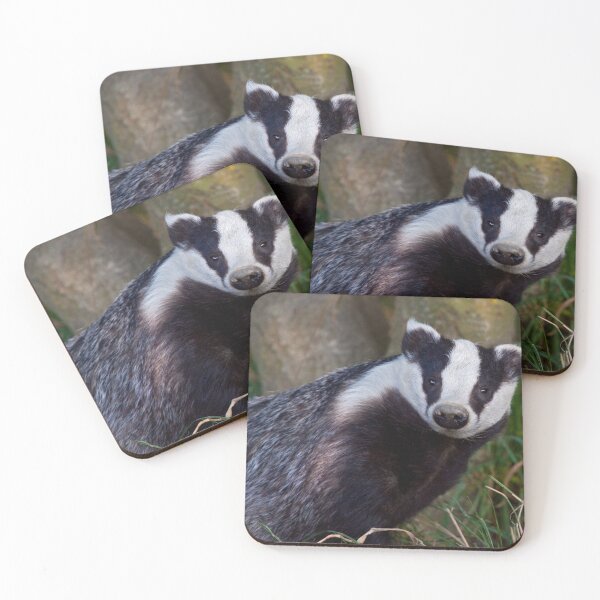 Item preview, Curious Badger designed and sold by Krys Bailey.