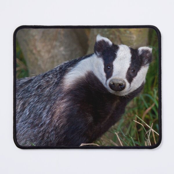 Item preview, Curious Badger designed and sold by Krys Bailey.