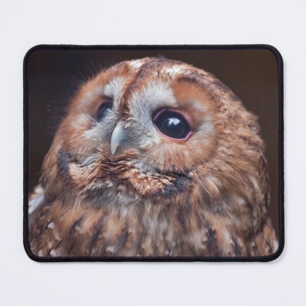 Item preview, Tawny designed and sold by Krys Bailey.