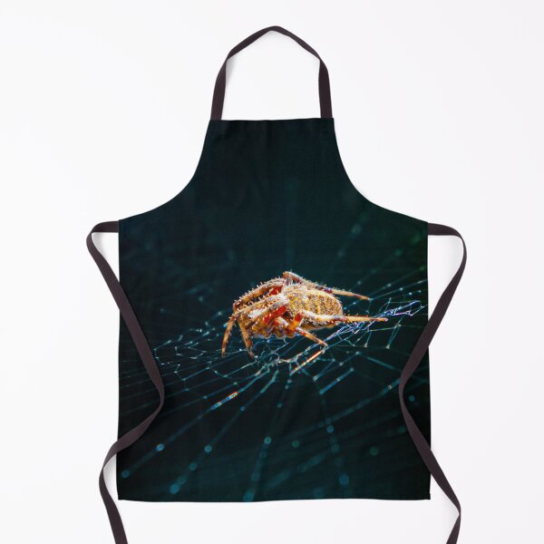 Item preview, Incy Wincy Spider on its web in the garden designed and sold by Dalyndigital Photography.