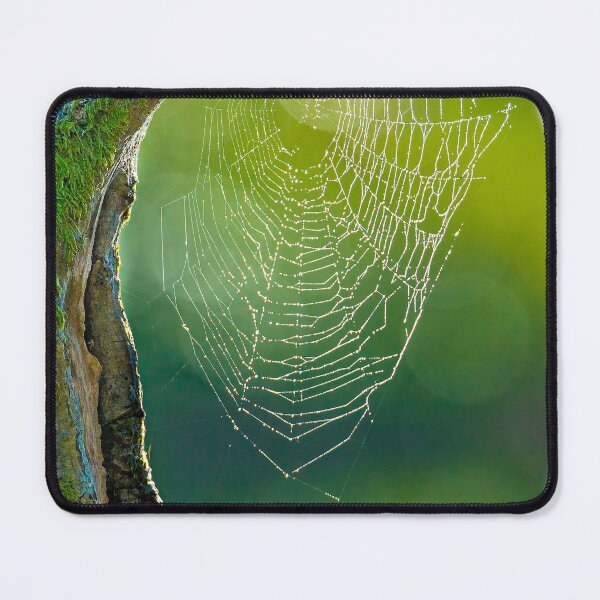 Item preview, Cob Web Bow designed and sold by Dalyndigital Photography.