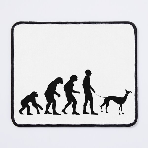 Item preview, WE ALWAYS KNEW THIS! designed and sold by Hares & Critters.