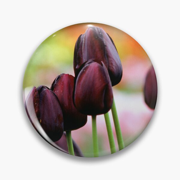 Item preview, Keukenhof Flower Gardens, Legend of the Black Tulip designed and sold by JonDelorme.