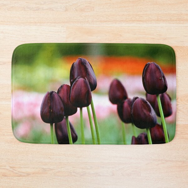 Item preview, Keukenhof Flower Gardens, Legend of the Black Tulip designed and sold by JonDelorme.