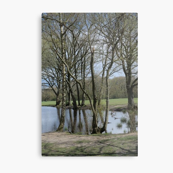 Item preview, Beautiful scenic view designed and sold by iam01110011.