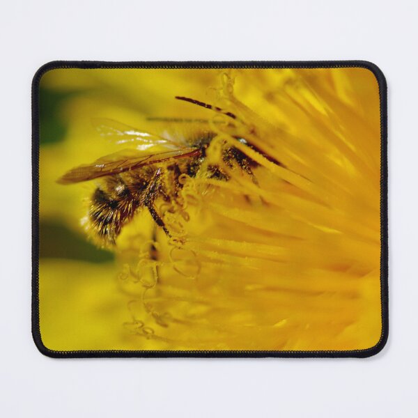 Item preview, LIFE IS DANDY designed and sold by NICK COBURN PHILLIPS.