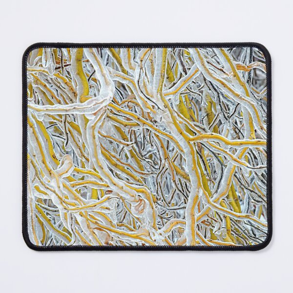 Item preview, Ice World VI Willow designed and sold by Kathilee.
